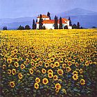 Famous Field Paintings - Sunflowers Field